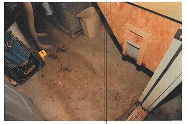 The scene of wher<em></em>e the mother and son were found dead.