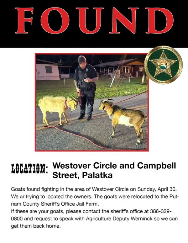 Police poster
