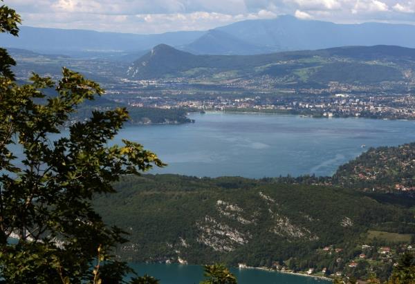 Several people including children were reported injured after a knife attack in Annecy on June 8, 2023. 