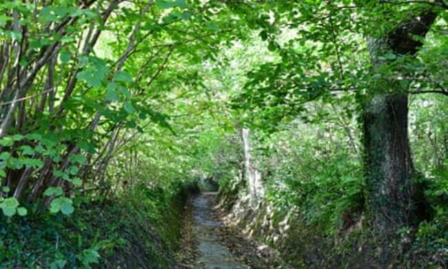 The lane in Comins Coch, wher<em></em>e major works are planned.