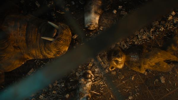 guardians of the galaxy 3