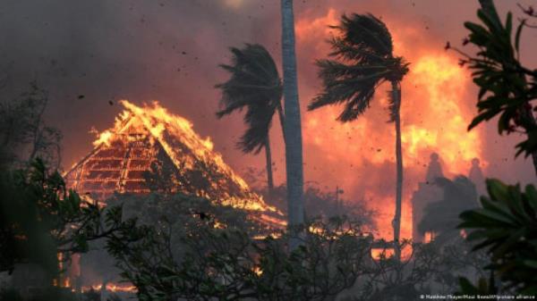 One of the worst natural disasters in Hawaii's history has wiped out the historic town of Lahaina. Photo: DW</p>

<p>　　