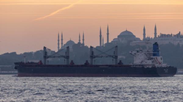 Asl Tia, a cargo vessel carrying Ukrainian grain, transits Bosphorus, in Istanbul, Turkey November 2, 2022. REUTERS/Umit Bektas/File Photo
