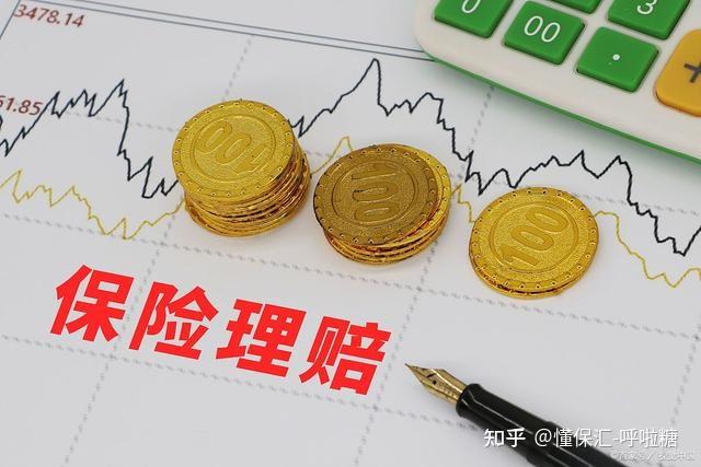 国内有国外保险公司吗_国内的保险公司有啥用_保险国内公司用有保单吗