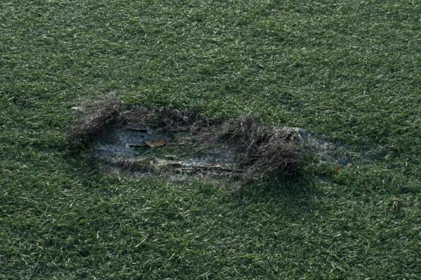 divot in bronx turf field near yankee stadium
