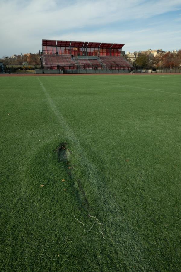 tear in the field
