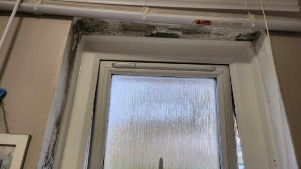 Mould in the Sinnott family's Waltham Abbey council flat