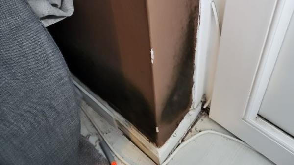 Mould in the Sinnott family's Waltham Abbey council flat