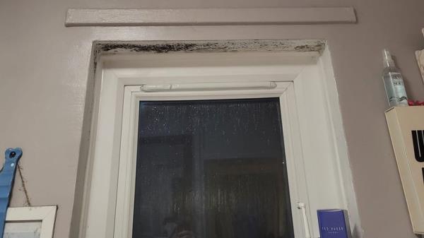 Mould in the Sinnott family's Waltham Abbey council flat