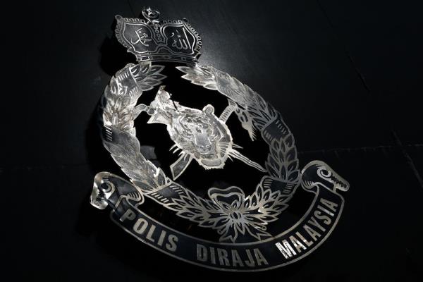 Police: Horse hit by four-wheel drive dies in Selayang