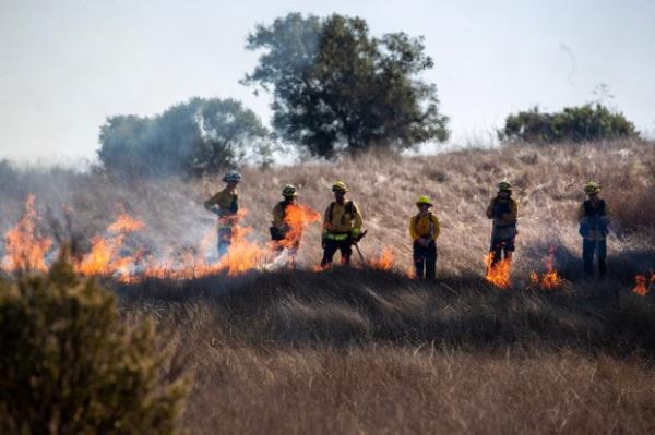 A prescribed burn is co<em></em>nducted at Wilder Ranch State Park...