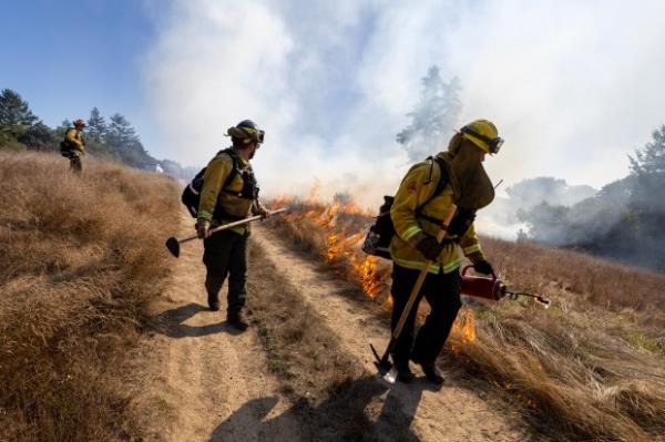 Drip torches are used to co<em></em>nduct a prescribed burn at...