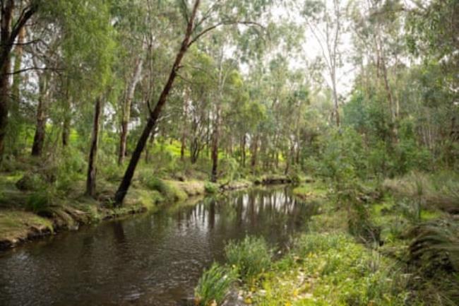 The Torrens River at Bo<em></em>nython Park