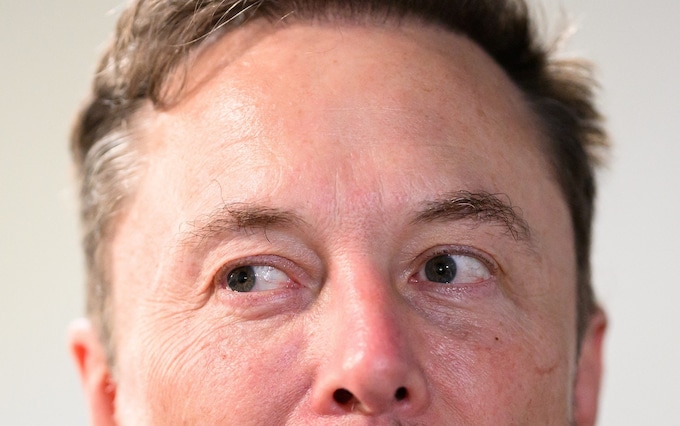 Elon Musk at the AI Safety Summit
