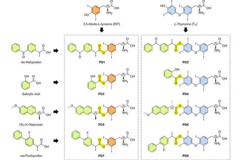 A thyroxine derivative enhances brain drug delivery