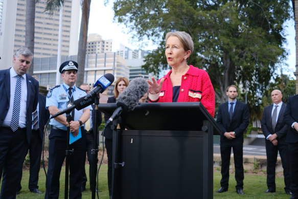 Youth Justice Minister Di Farmer has pointed to a parliamentary committee o<em></em>nly co<em></em>nvened in October as a reason for delays with the strategy.