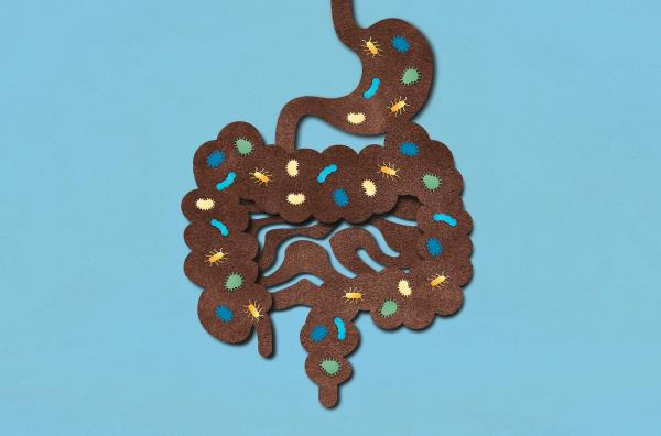 Graphic showing bugs in the stomach and gut