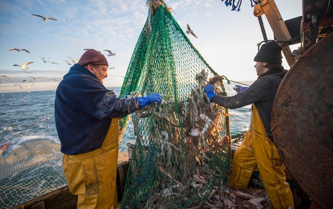 Deal will allow fishermen to land 750,000 to<em></em>nnes of catches overall, which is 80,000 more than last year