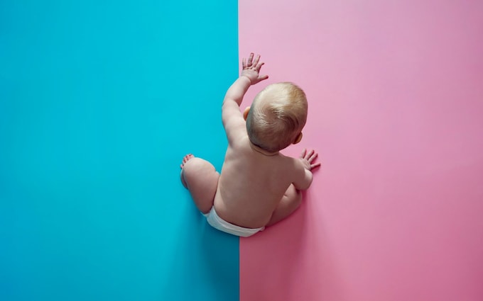 ‘We are talking a<em></em>bout newborn and very young babies here,’ said the ano<em></em>nymous whistle-blowing midwife