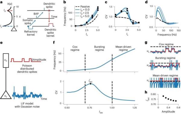 New study aims to unlock secrets of the human brain