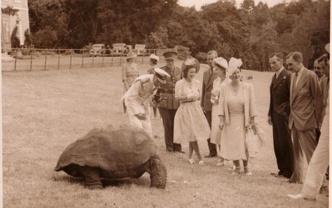 The Duke’s mother Queen Elizabeth II and Grandfather King George VI visiting Jo<em></em>nathan the Tortoise in 1947