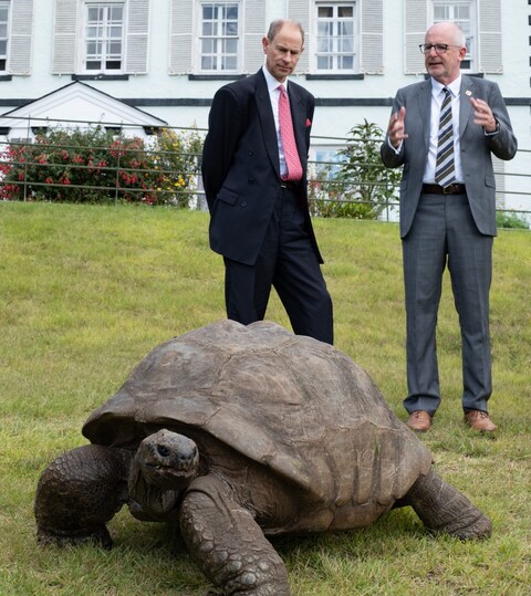 The Duke watching Jo<em></em>nathan the tortoise