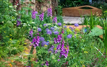 The Octavia Hill Garden by Blue Diamond with the Natio<em></em>nal Trust