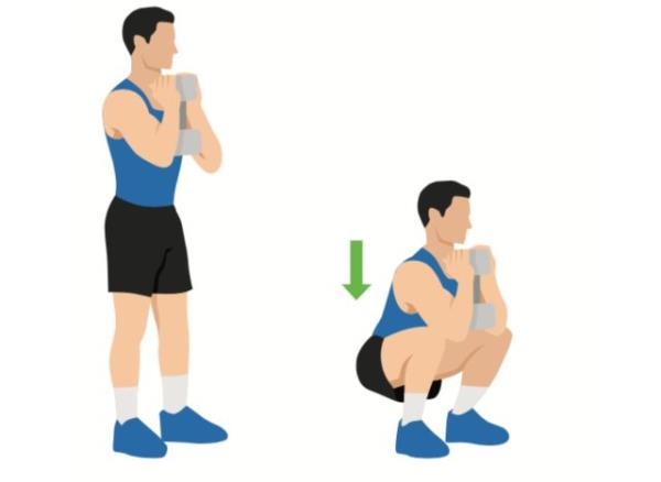 illustration of barbell front squat exercise
