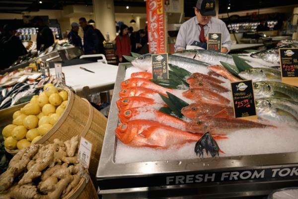 A view of fish that's flown in from Japan daily -- and served fresh at the new 