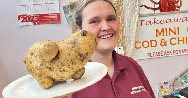 biggest spud