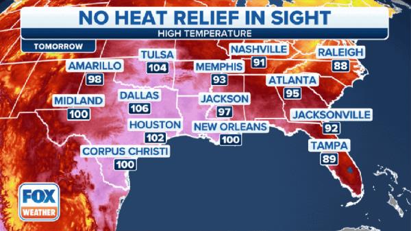 The forecast high and 