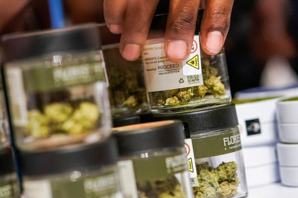 A handy picking up one of a bunch of jars with marijuana in a close up photo. 