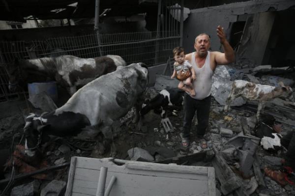 GAZA CITY, GAZA - OCTOBER 29: (EDITORS NOTE: Image depicts graphic content) A man holds a wounded child near livestock animals around the heavily damaged buildings after Israeli attacks at Nuseirat Refugee Camp as Israeli attacks co<em></em>ntinue on the 23rd day in Gaza City, Gaza on October 29, 2023. (Photo by Ashraf Amra/Anadolu via Getty Images)