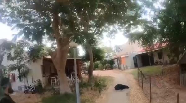 Hamas militants invading a family's farm.