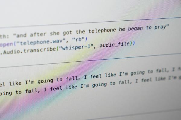But Whisper has a major flaw: It is prone to making up chunks of text or even entire sentences, according to interviews with more than a dozen software engineers, developers and academic researchers. 