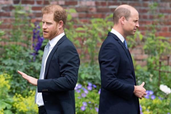 Princes Harry and William unveiling a statue of their mother, Princess Diana, at Kensington Palace.