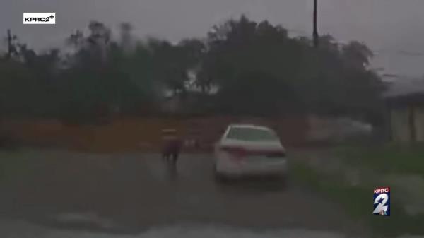 Callie Clemens is seen rescuing Max from a storm.