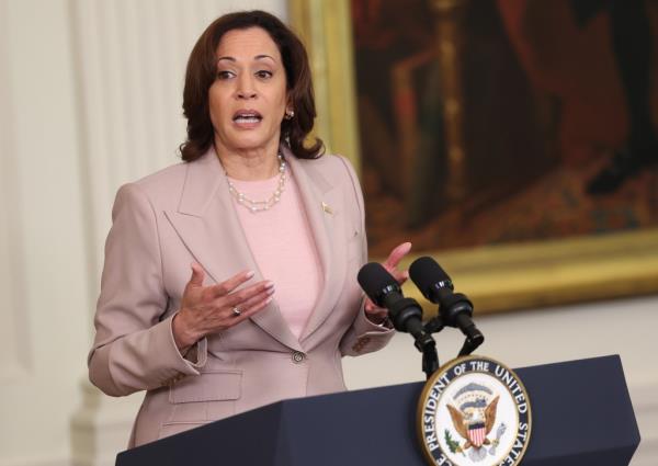 Haley shares her co<em></em>ncerns a<em></em>bout Harris in office, stating 