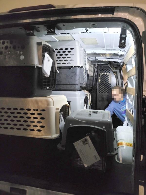 The heat exhausted dogs were located in the back of a borrowed trailer when a 