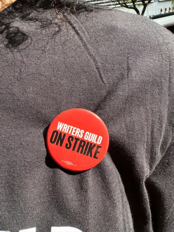 According Dominic Turiczek and his friend Cassidy Carter showed up at the CBS Broadcast Center in New York after winning a pair of free tickets and accepted the pins from picketers before heading into the building. 