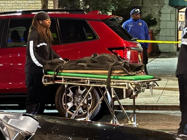 Young twins found dead in Bronx. 