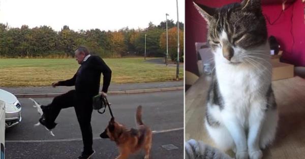 Police identify suspect in hunt for cat killer after pet kicked on pavement