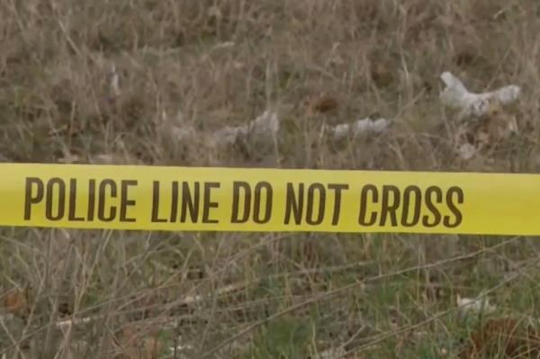 The pilot, who officials said was also seriously injured, was reported to be the o<em></em>nly person on board the plane. 