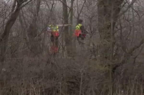 It's unclear if the pedestrians were struck by the falling plane or by debris from it, Chief Deputy Jeff Stanley said. 