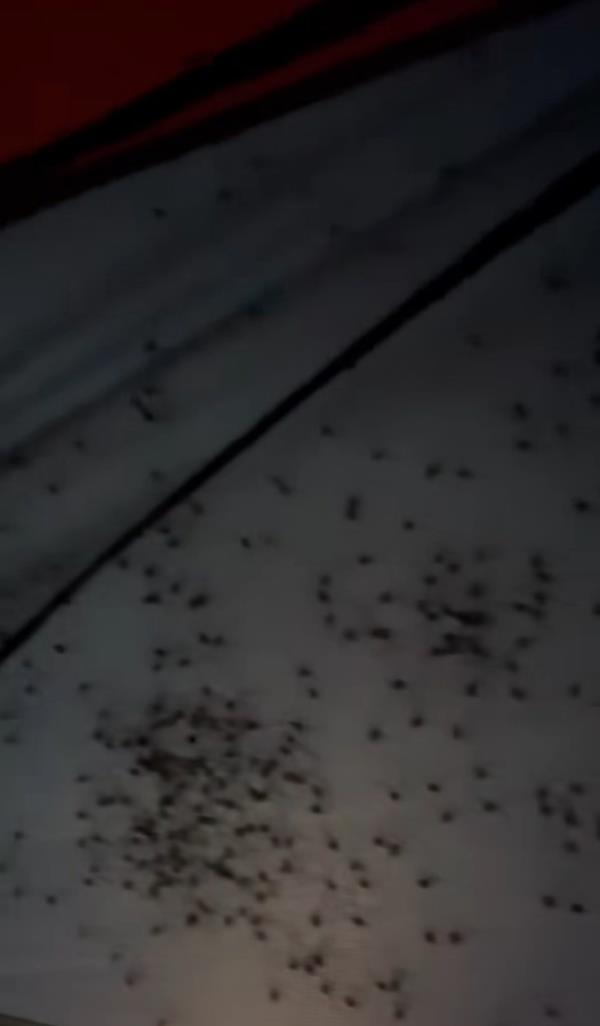 Lake Clark Natio<em></em>nal Park and Preserve posted the video on Halloween, to which viewers were totally spooked out. . 