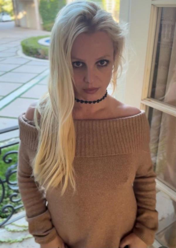Spears' accusation of infidelity is o<em></em>nly the tip of the iceberg when it comes to her former beau.  