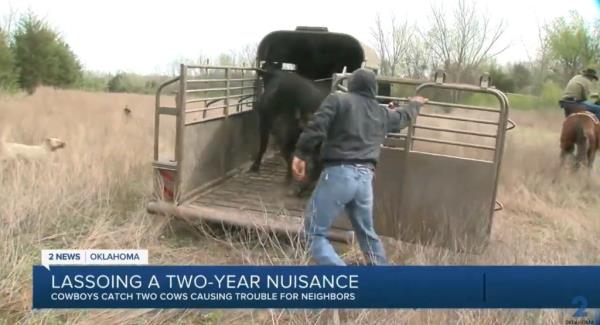 The capture put an end to the pair's two-year reign of terror on Brenda Stapleton's Tulsa County property