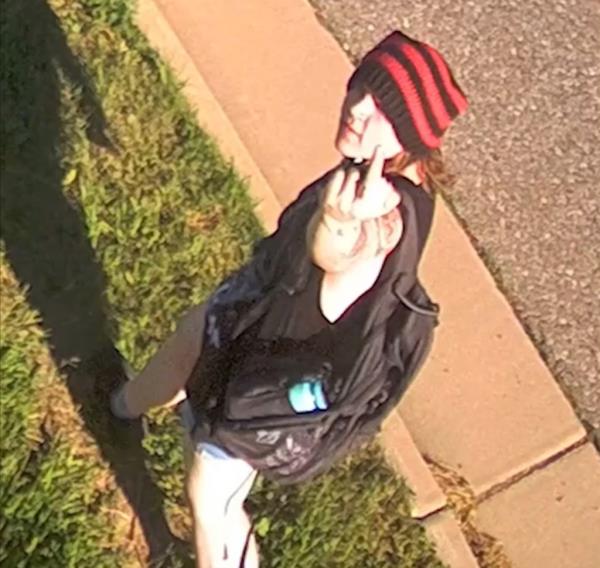 vandal 