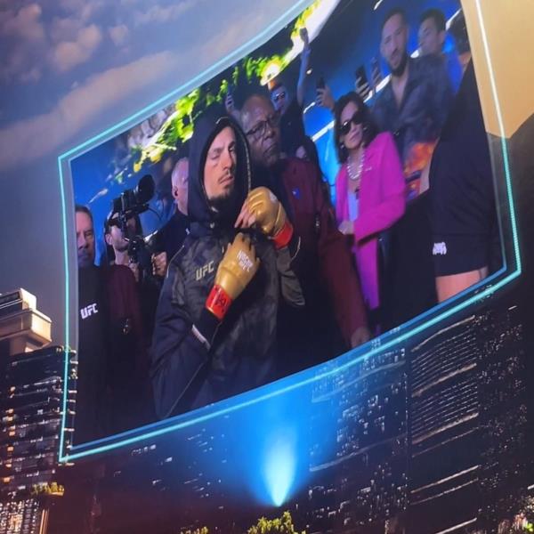 A Nancy Pelosi lookalike was seen at Sunday's UFC bout in Las Vegas.