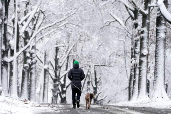 A person was seen walking his dog after a witner storm moved through Leawood, Kansas on Jan. 9.</p>

<p>　　